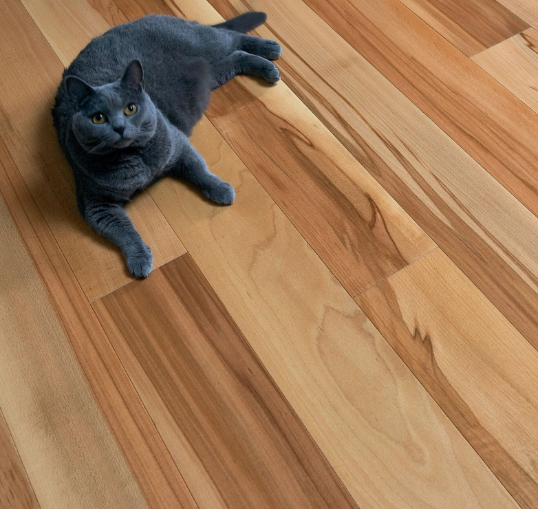 Wood Floors and Pets